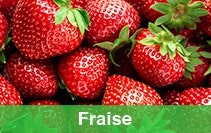 Fraise